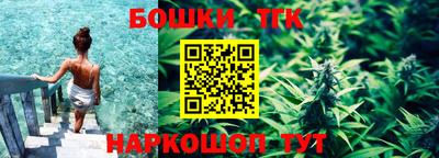 прущие грибы Абинск
