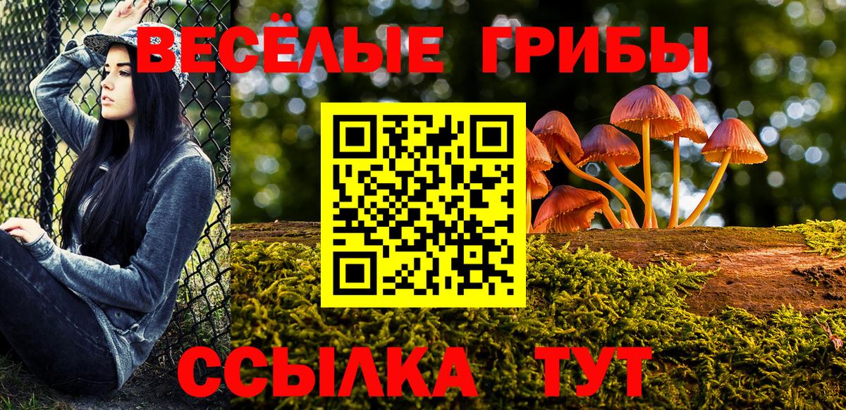 Псилоцибиновые грибы GOLDEN TEACHER Александров