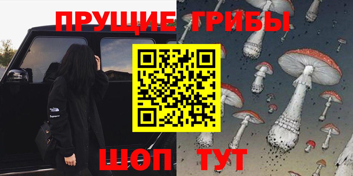 Псилоцибиновые грибы Psilocybe  Вход с VPN  Александров 
